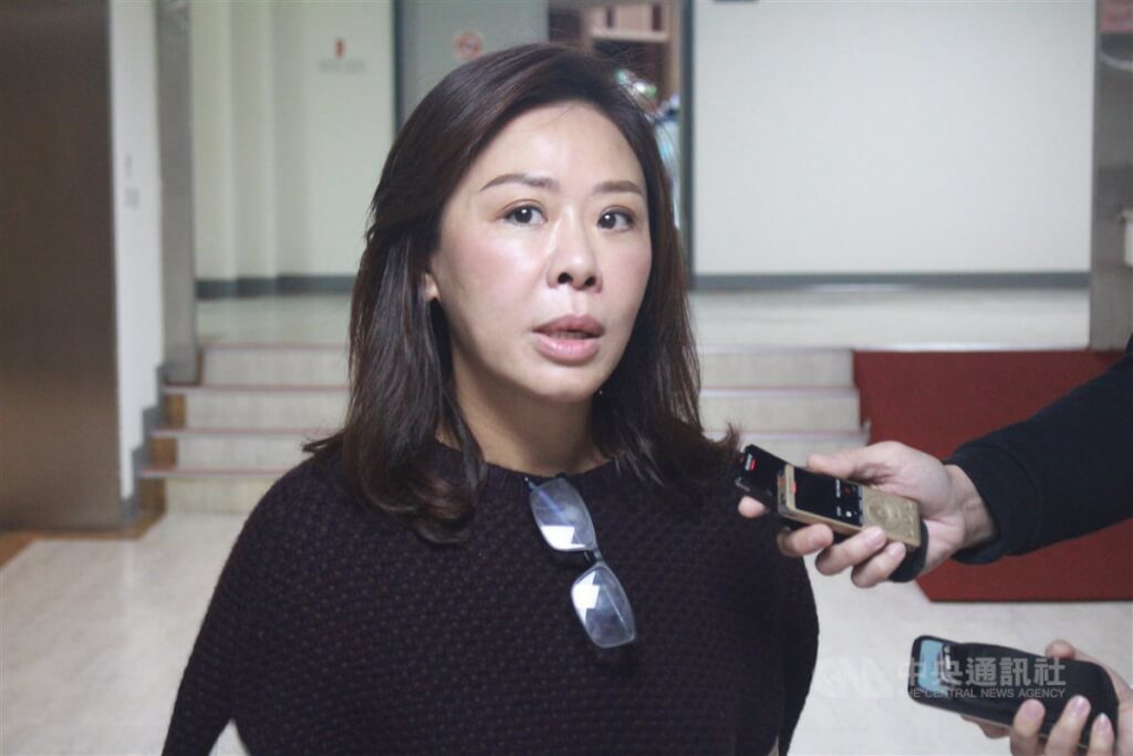 綠批不甩挺台決議 藍:須以中華民國憲政為主體 綠批不甩挺台決議 藍:須以中華民國憲政為主體