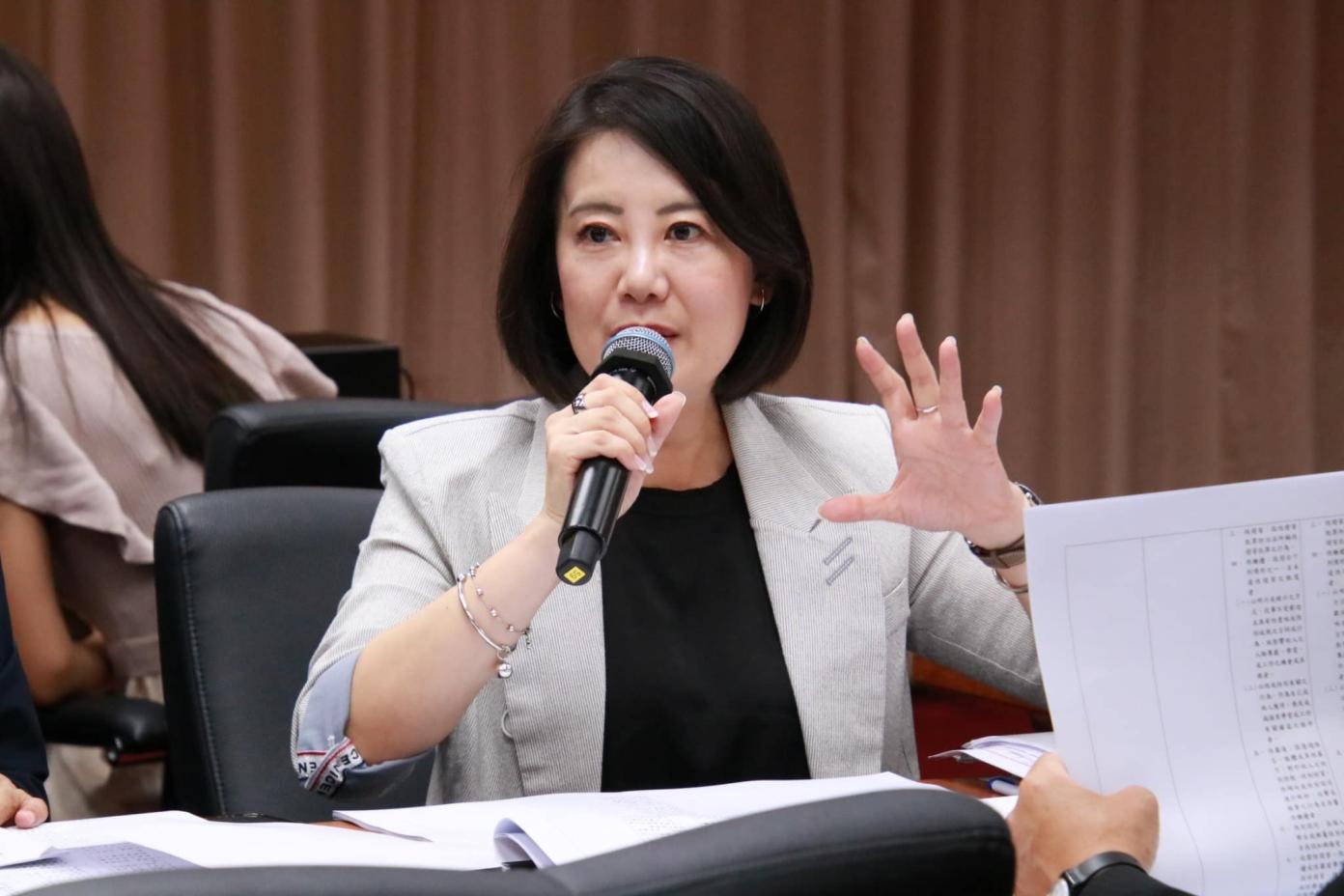 法學教授、國民黨立委翁曉玲提出監委行為法 綠委：超越憲法的立委