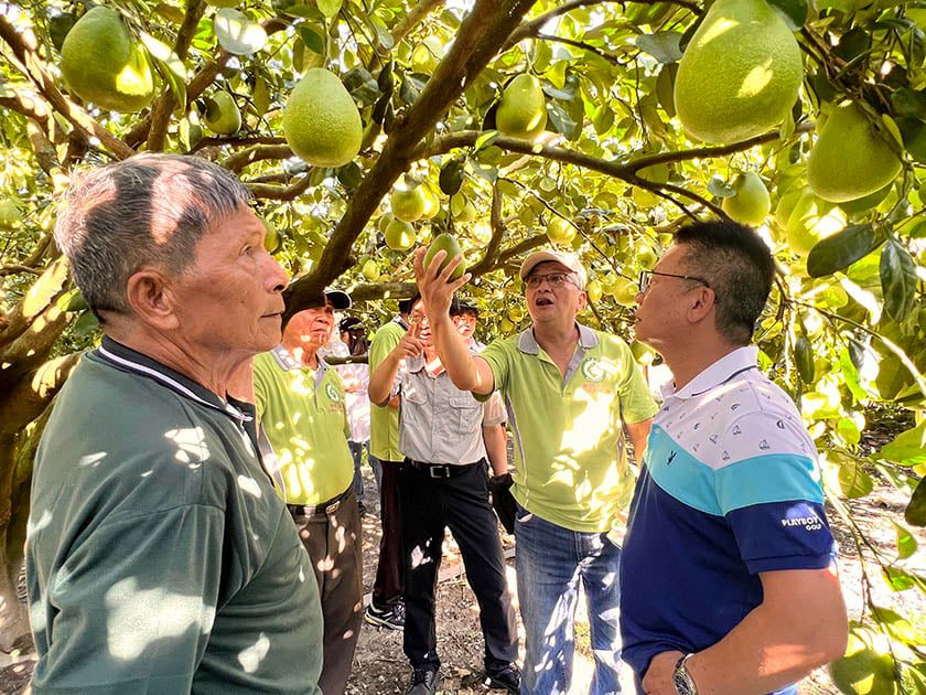 傅崐萁不夠力？瑞穗文旦輸入中國進度卡關  花蓮農民抱怨「只聽樓梯響」