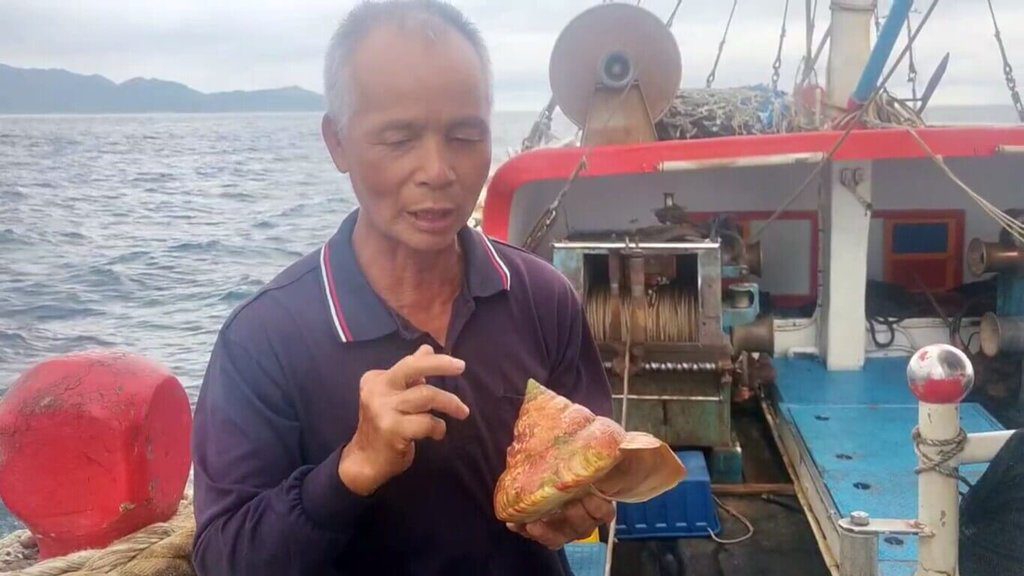 宜蘭漁民捕獲龍宮貝 台博館盼回歸自然 宜蘭漁民捕獲龍宮貝 台博館盼回歸自然