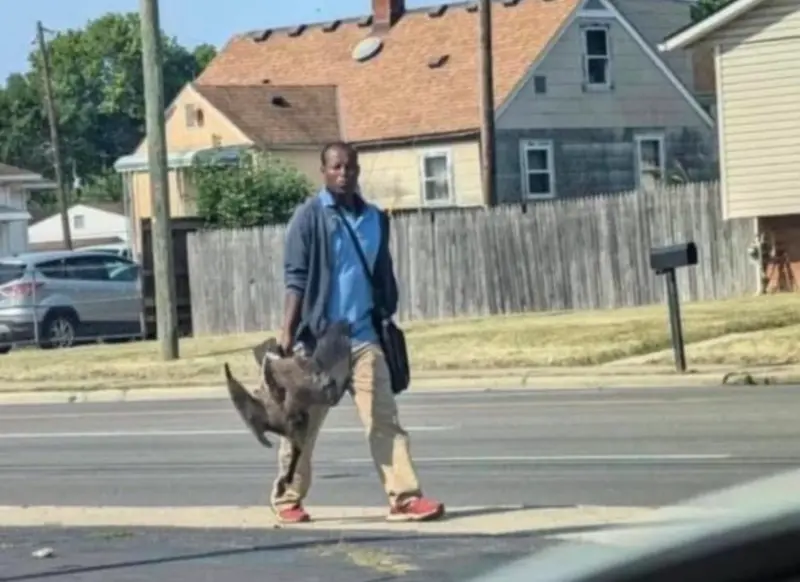 川普稱移民吃貓狗 民眾目擊海地移民公園附近抓鵝 川普稱移民吃貓狗 民眾目擊海地移民公園附近抓鵝