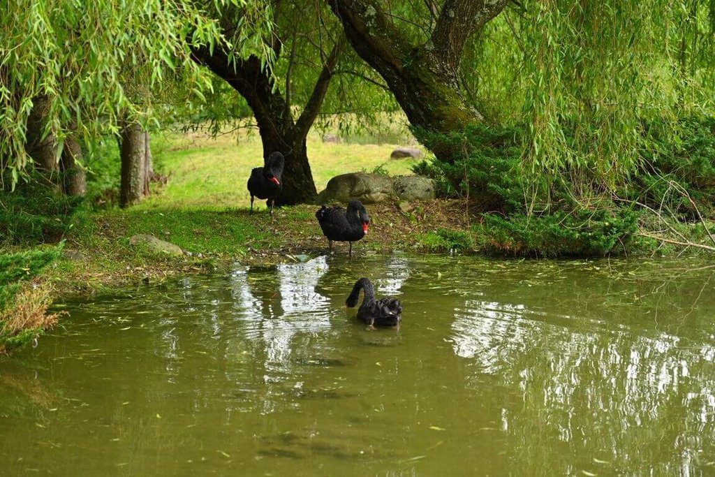 颱風楊柳逼近 武陵農場8/12下午起休園 颱風楊柳逼近 武陵農場8/12下午起休園