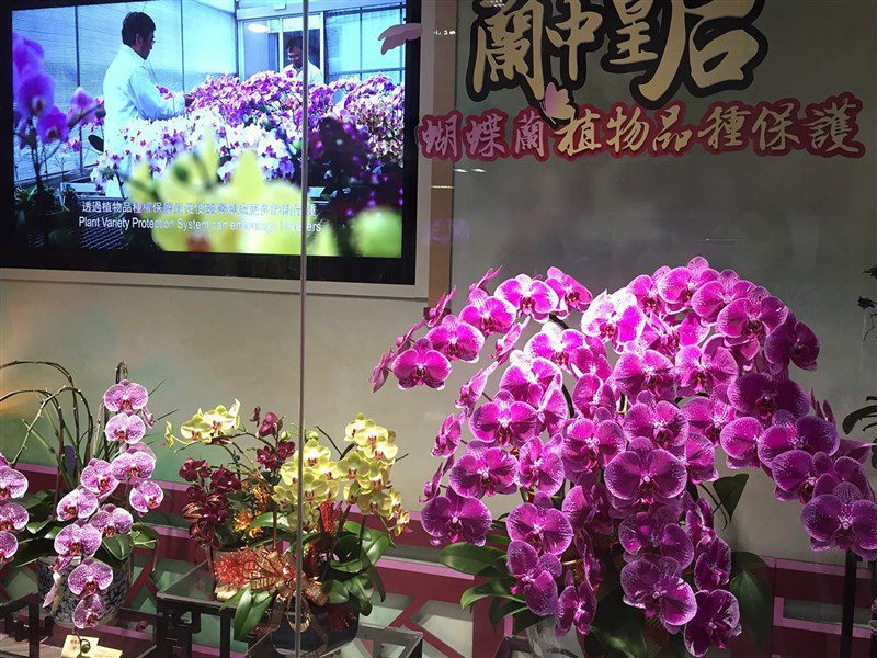 20%暫行關稅將上路 政院:工具機蝴蝶蘭等受衝擊 20%暫行關稅將上路 政院:工具機蝴蝶蘭等受衝擊