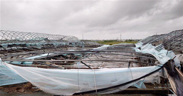 丹娜絲風災募款累計1.7億 預募5億8/20截止 丹娜絲風災募款累計1.7億 預募5億8/20截止