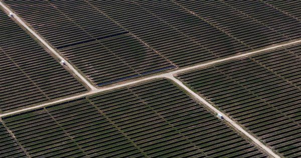 川普:美國愚蠢時代告終 不再批准太陽能風電案 川普:美國愚蠢時代告終 不再批准太陽能風電案