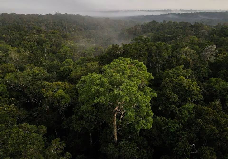 亞馬遜森林火災面積銳減 巴西迎氣候峰會添利多 亞馬遜森林火災面積銳減 巴西迎氣候峰會添利多
