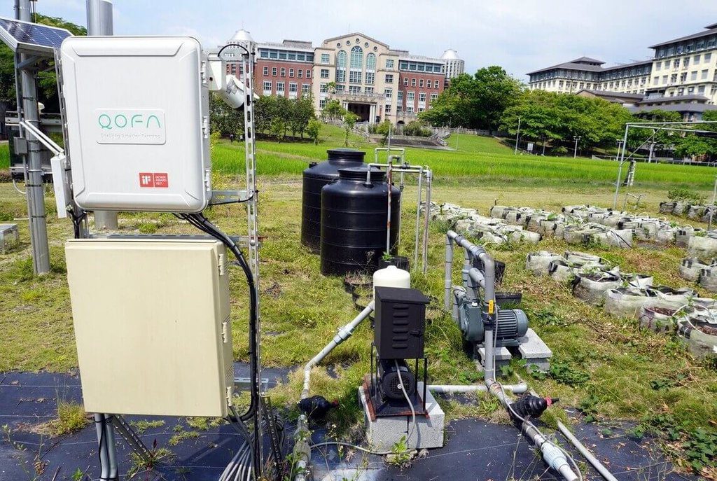 嘉大中草藥團隊助產業轉型 保存台灣珍貴植物資源 嘉大中草藥團隊助產業轉型 保存台灣珍貴植物資源