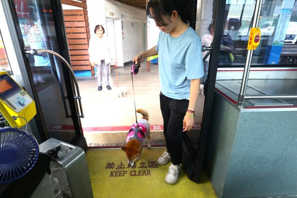台南「假日友善狗狗公車」 9/27起2路線試辦免攜籠 台南「假日友善狗狗公車」 9/27起2路線試辦免攜籠