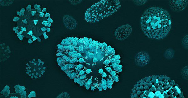 南韓列立百病毒為法傳  羅一鈞：若疫情有變不排除