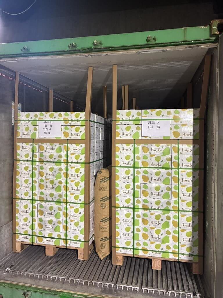 文旦外銷新市場 首批運抵馬來西亞19日順利通關 文旦外銷新市場 首批運抵馬來西亞19日順利通關