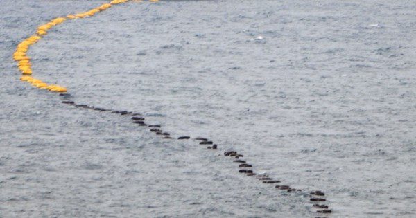 中華電:國際海纜皆正常 國內故障點上半年已修復 中華電:國際海纜皆正常 國內故障點上半年已修復