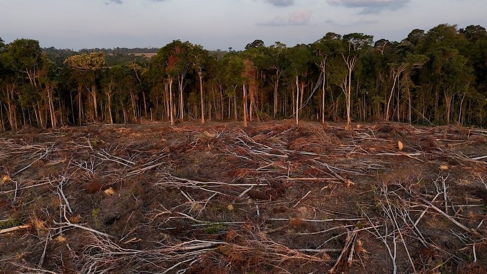 巴西亞馬遜雨林40年大縮水 專家:逼生態臨界點 巴西亞馬遜雨林40年大縮水 專家:逼生態臨界點