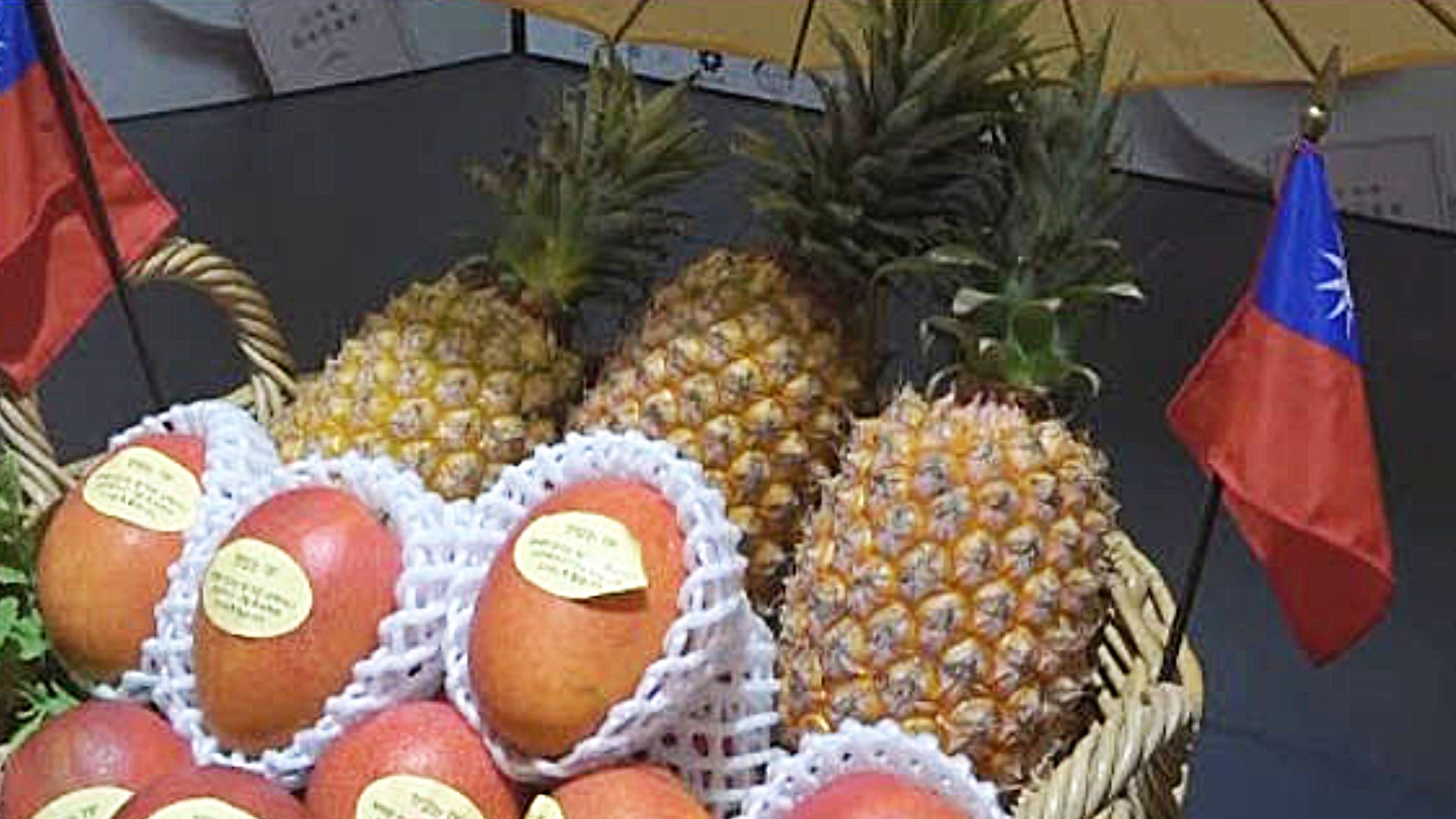 台灣鳳梨9成銷日 林佳龍:民主夥伴相互支持 台灣鳳梨9成銷日 林佳龍:民主夥伴相互支持