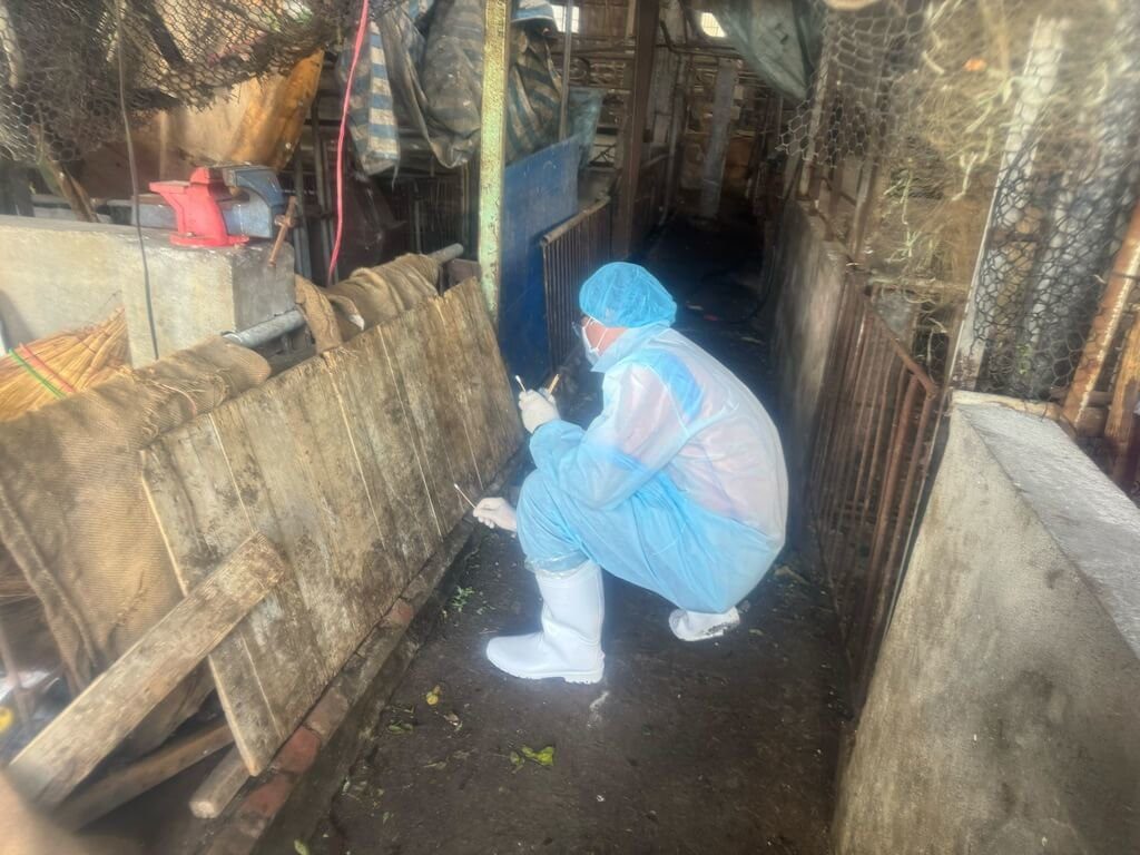 台中染非洲豬瘟案例場環境髒亂 呼籲民眾勿靠近 台中染非洲豬瘟案例場環境髒亂 呼籲民眾勿靠近