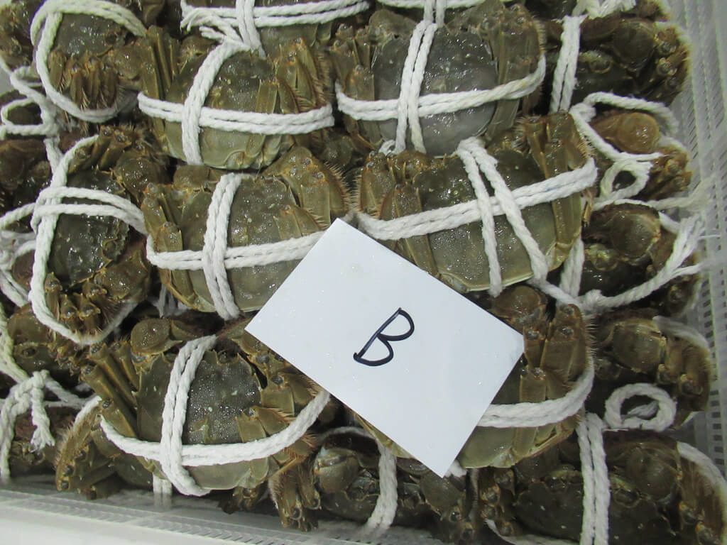 中國大閘蟹又違規 驗出禁藥近4000公斤退運銷毀 中國大閘蟹又違規 驗出禁藥近4000公斤退運銷毀