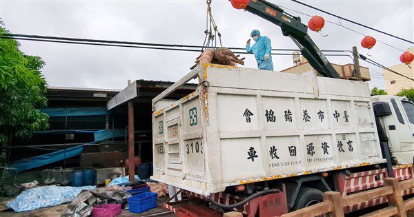 非洲豬瘟場化製單疑遭塗改  檢赴環保局調資料釐清 非洲豬瘟場化製單疑遭塗改  檢赴環保局調資料釐清