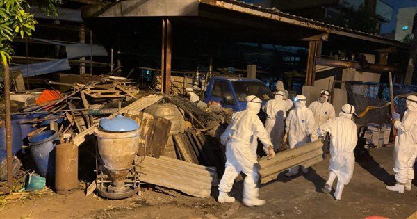 非洲豬瘟案場污泥最厚10公分 十軍團145人次馳援 非洲豬瘟案場污泥最厚10公分 十軍團145人次馳援