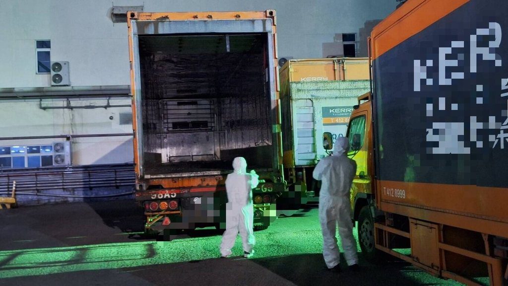 高雄攔獲台中疑染疫豬肉 300公斤全封存未流入市面 高雄攔獲台中疑染疫豬肉 300公斤全封存未流入市面