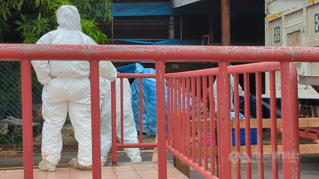 非洲豬瘟案王姓獸醫佐回國 中檢訊後證人身分請回 非洲豬瘟案王姓獸醫佐回國 中檢訊後證人身分請回