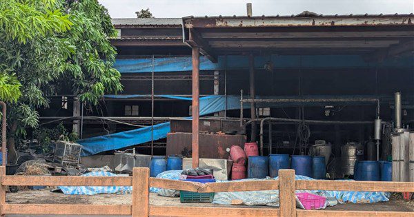 釐清非洲豬瘟案 檢警調防檢組成立專案小組 釐清非洲豬瘟案 檢警調防檢組成立專案小組