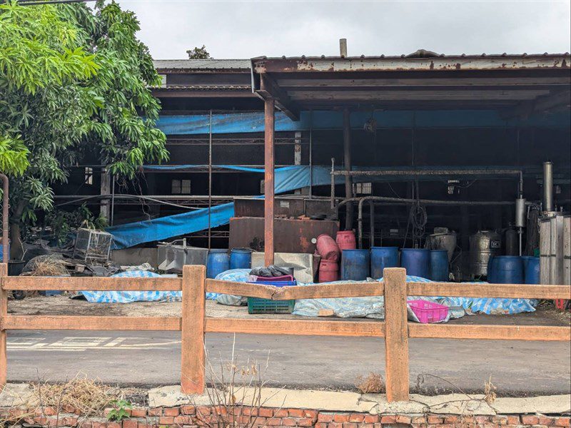 非洲豬瘟案  中市府:9月及10月初未獲中央警示 非洲豬瘟案  中市府:9月及10月初未獲中央警示