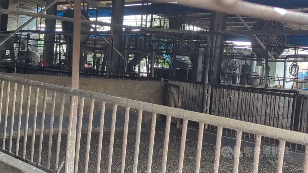 染疫豬場特約獸醫:不知情下涉案 不再與豬場簽約 染疫豬場特約獸醫:不知情下涉案 不再與豬場簽約