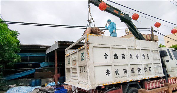 台中養豬場疑爆非洲豬瘟 環保局:廚餘為清潔隊提供 台中養豬場疑爆非洲豬瘟 環保局:廚餘為清潔隊提供