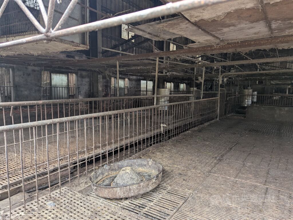 台中豬肉加工品流入新北 售出468公斤未供學校 台中豬肉加工品流入新北 售出468公斤未供學校