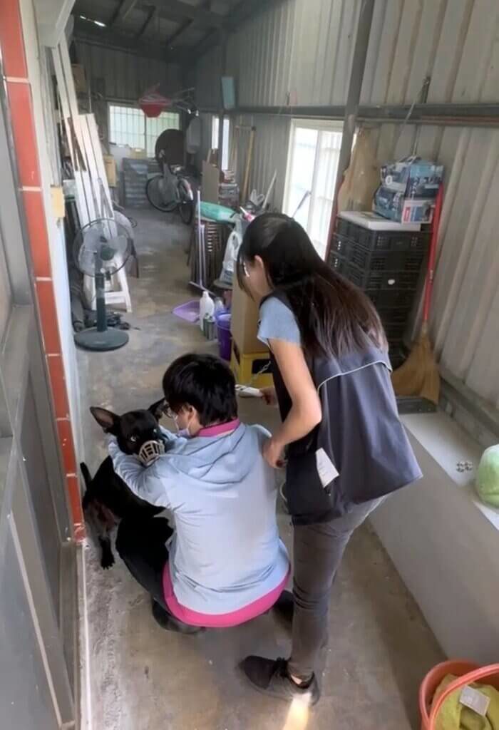 嘉縣未滿2歲幼童遭大型犬咬傷臉部 警追究飼主責任 嘉縣未滿2歲幼童遭大型犬咬傷臉部 警追究飼主責任