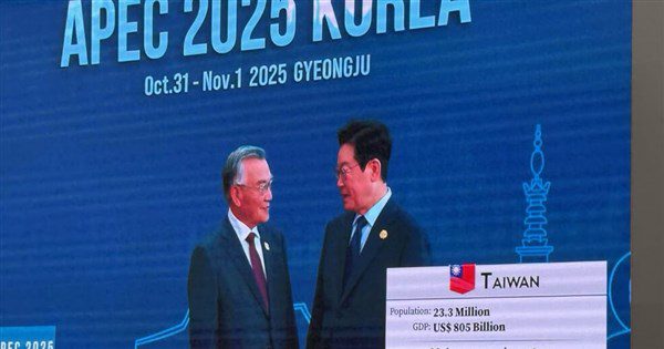 APEC峰會登場 林信義進場大會轉播畫面秀中華民國國旗 APEC峰會登場 林信義進場大會轉播畫面秀中華民國國旗