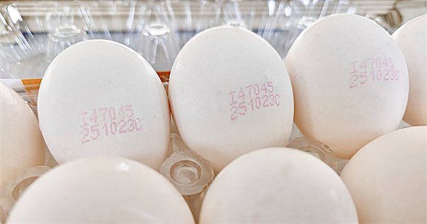 全聯:配合下架芬普尼雞蛋 持發票可原店退貨 全聯:配合下架芬普尼雞蛋 持發票可原店退貨