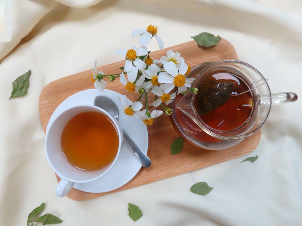 農試所研發咸豐草茶飲包　降低傳統青草茶苦澀感