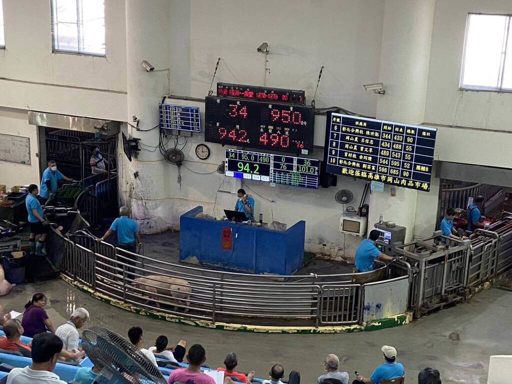 高市活豬拍賣恢復 4大肉品市場均價略增 高市活豬拍賣恢復 4大肉品市場均價略增