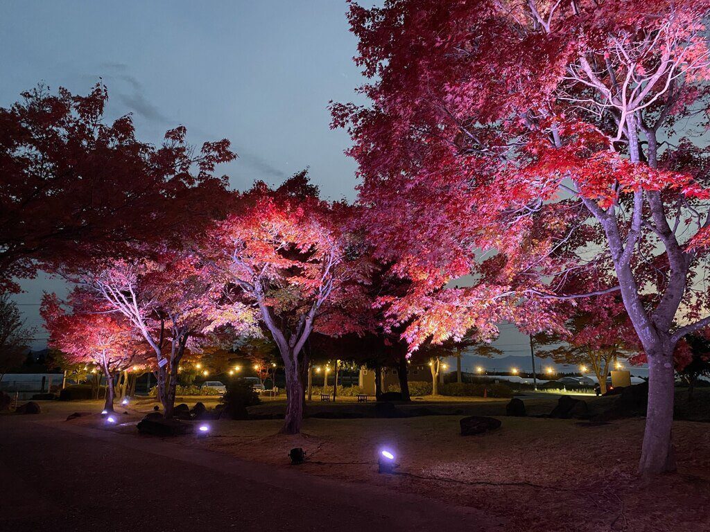 福島縣磐梯町成旅遊新亮點 慢步調吸引台灣旅客 | 生活 | 中央社 CNA 福島縣磐梯町成旅遊新亮點 慢步調吸引台灣旅客 | 生活 | 中央社 CNA