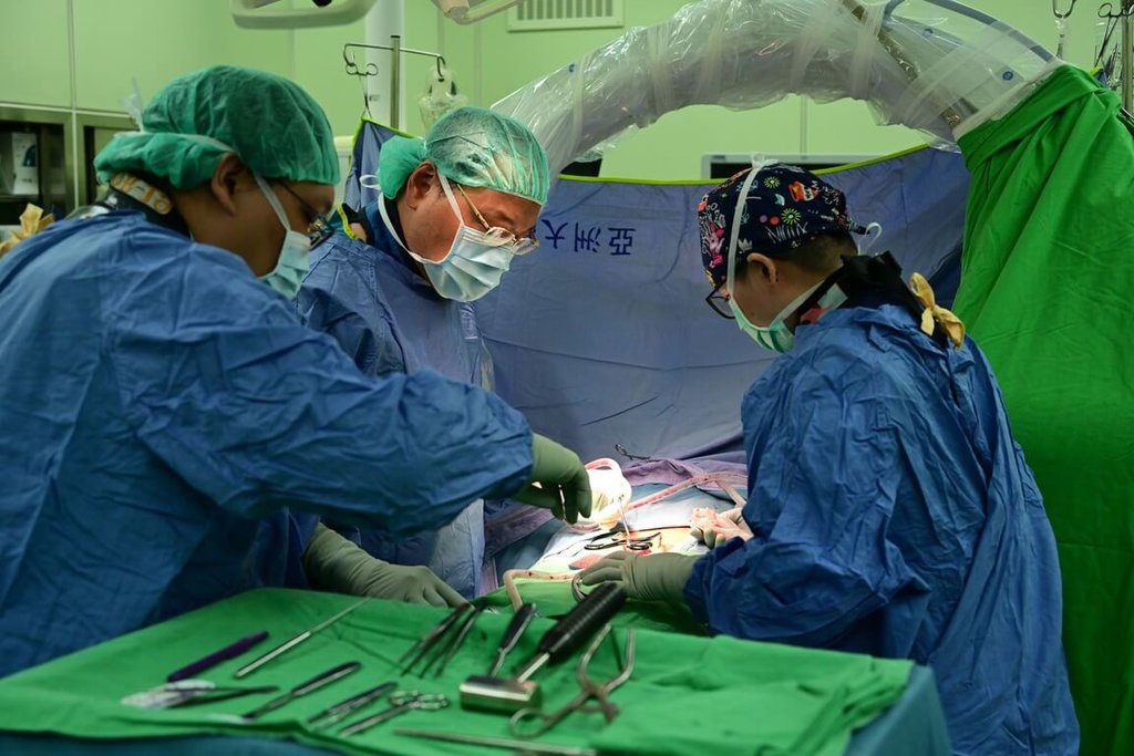 少子化影響手術護理師人力缺口 亞大醫開辦免費培訓 少子化影響手術護理師人力缺口 亞大醫開辦免費培訓