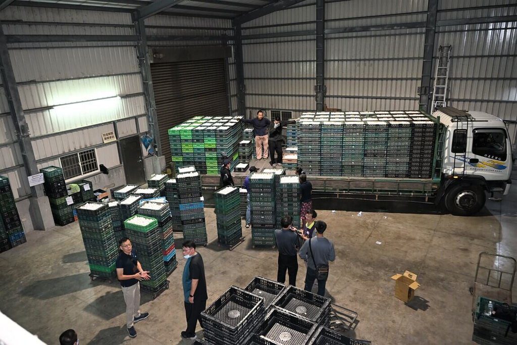 彰化文雅畜牧場出貨近6萬顆蛋 部分銷往新北被銷毀 彰化文雅畜牧場出貨近6萬顆蛋 部分銷往新北被銷毀