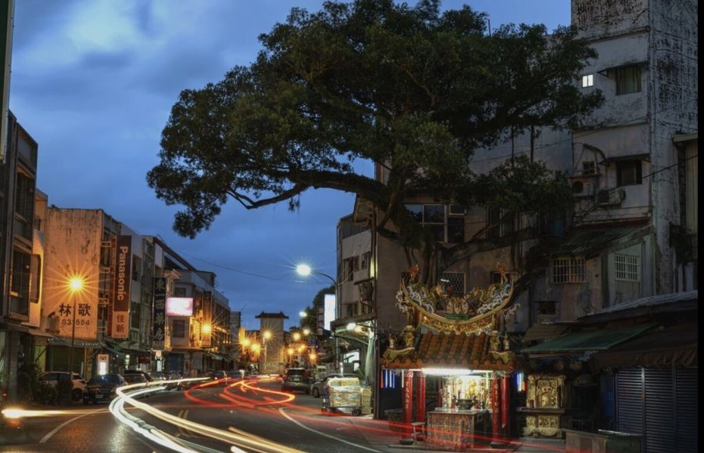 花蓮富里鄉百年榕樹枯死 居民不捨道別 花蓮富里鄉百年榕樹枯死 居民不捨道別