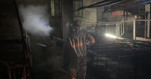 非洲豬瘟台中案場化學兵消毒 3日採檢 非洲豬瘟台中案場化學兵消毒 3日採檢