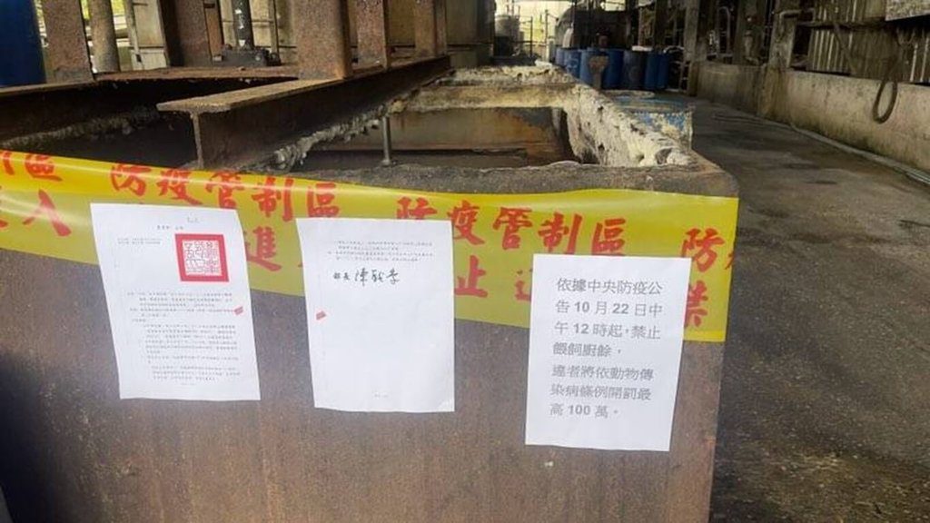 新北查獲違規餵食廚餘兩養豬場 重罰並禁上市 新北查獲違規餵食廚餘兩養豬場 重罰並禁上市