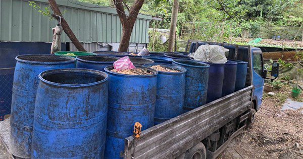 新北養豬場偷餵廚餘 農業部:違規者最重可撤照 新北養豬場偷餵廚餘 農業部:違規者最重可撤照