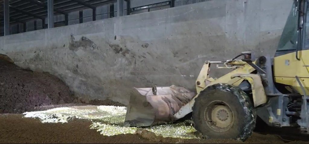 彰化文雅畜牧場驗出芬普尼超標 場內25萬顆雞蛋銷毀 彰化文雅畜牧場驗出芬普尼超標 場內25萬顆雞蛋銷毀