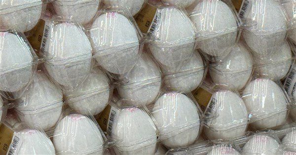 彰化文雅畜牧場雞蛋仍驗出芬普尼 縣府裁罰12萬 彰化文雅畜牧場雞蛋仍驗出芬普尼 縣府裁罰12萬