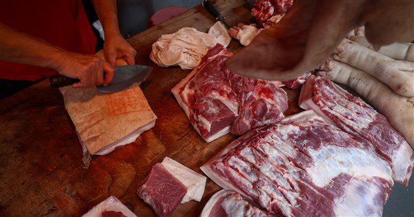 非洲豬瘟解封 11/6中午12時起可運、11/7零時可宰 非洲豬瘟解封 11/6中午12時起可運、11/7零時可宰