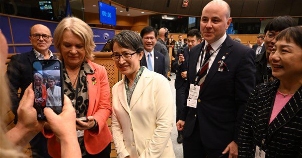 網傳捐巨資換IPAC演講 外交部報案追究法律責任 網傳捐巨資換IPAC演講 外交部報案追究法律責任