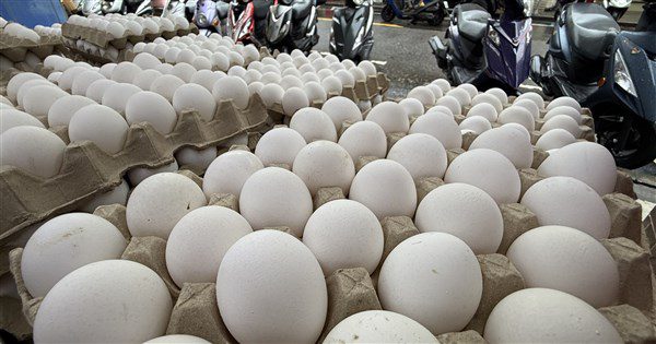 文雅牧場驗出芬普尼 農業部:移檢調、應重罰 文雅牧場驗出芬普尼 農業部:移檢調、應重罰