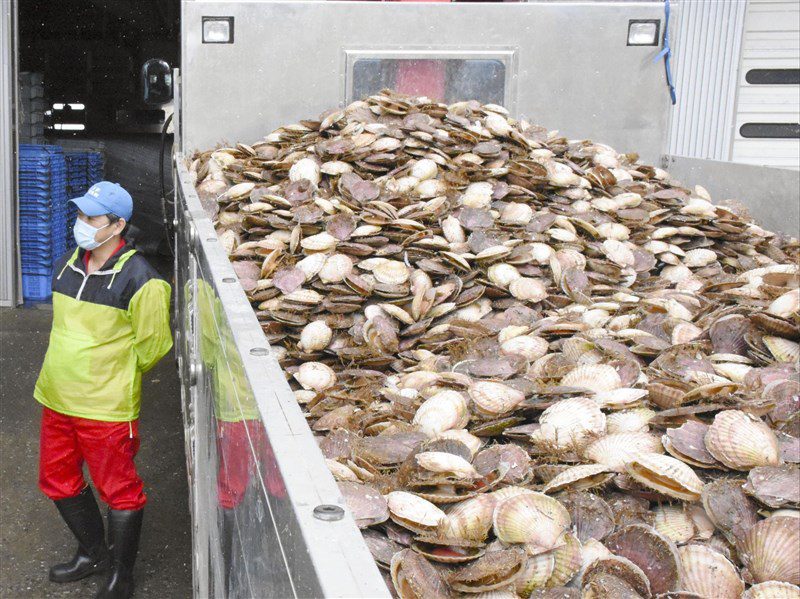 中國再禁日水產衝擊有限 業者早已開拓新通路 中國再禁日水產衝擊有限 業者早已開拓新通路