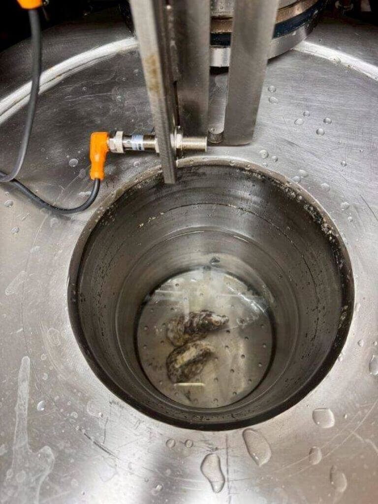 牡蠣剝殼人力老化 水試所導入超高壓自動去殼 牡蠣剝殼人力老化 水試所導入超高壓自動去殼