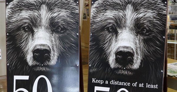 曾斥抗議人士「把熊送你家」 前秋田知事:現況像戰爭 曾斥抗議人士「把熊送你家」 前秋田知事:現況像戰爭